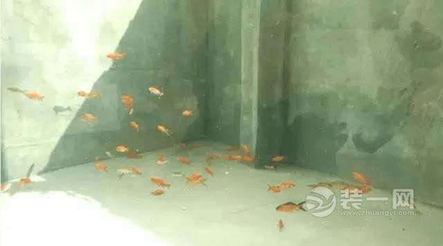 家居鱼池装修设计步骤图